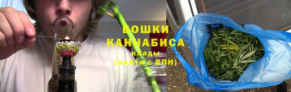 ПСИЛОЦИБИНОВЫЕ ГРИБЫ Горнозаводск