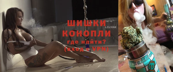 хмурый Горняк