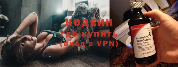 ПСИЛОЦИБИНОВЫЕ ГРИБЫ Горно-Алтайск