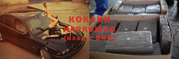 ПСИЛОЦИБИНОВЫЕ ГРИБЫ Горно-Алтайск