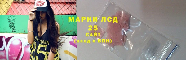 хмурый Горняк