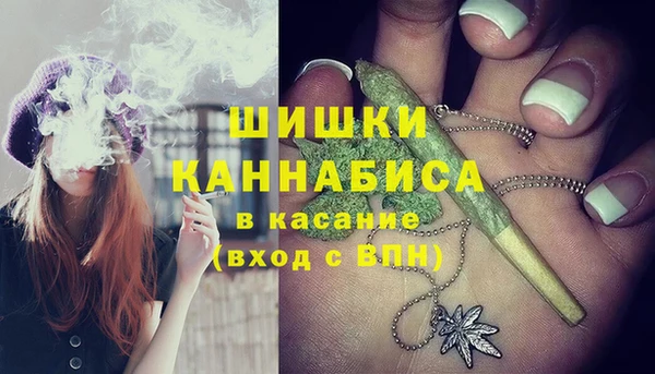 ПСИЛОЦИБИНОВЫЕ ГРИБЫ Горнозаводск