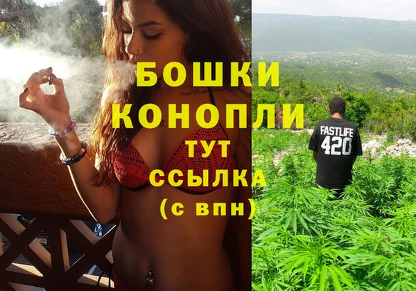 ПСИЛОЦИБИНОВЫЕ ГРИБЫ Горнозаводск