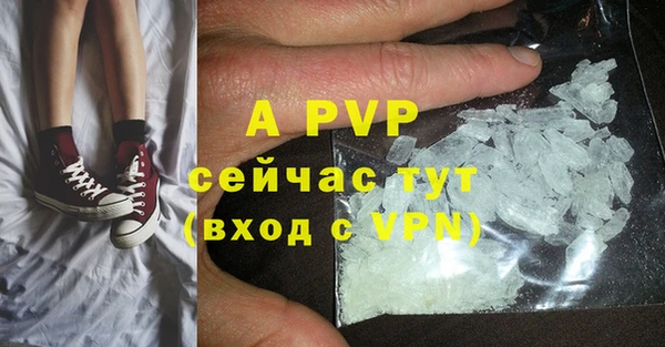 ПСИЛОЦИБИНОВЫЕ ГРИБЫ Горнозаводск
