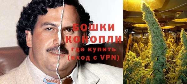 хмурый Горняк