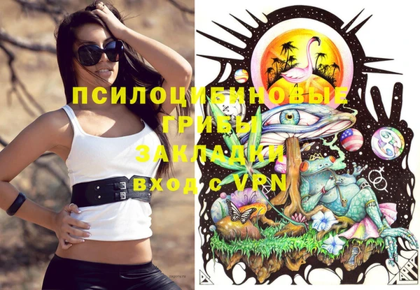 ПСИЛОЦИБИНОВЫЕ ГРИБЫ Горнозаводск