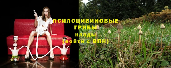 ПСИЛОЦИБИНОВЫЕ ГРИБЫ Горно-Алтайск