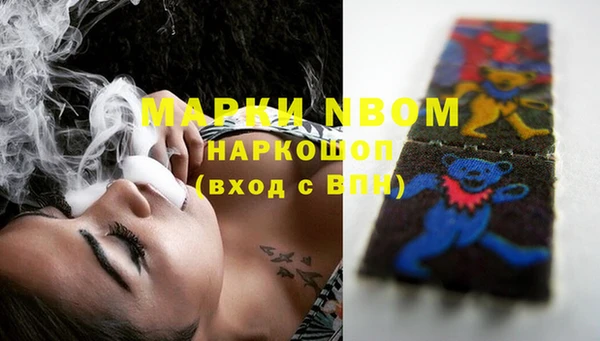 ПСИЛОЦИБИНОВЫЕ ГРИБЫ Горно-Алтайск