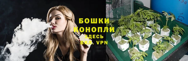ПСИЛОЦИБИНОВЫЕ ГРИБЫ Горнозаводск