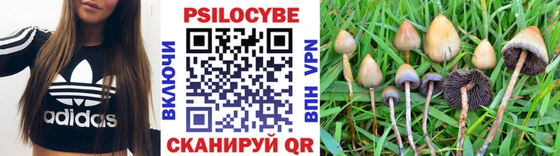 Купить  Новоуральск  Галлюциногенные грибы прущие грибы 